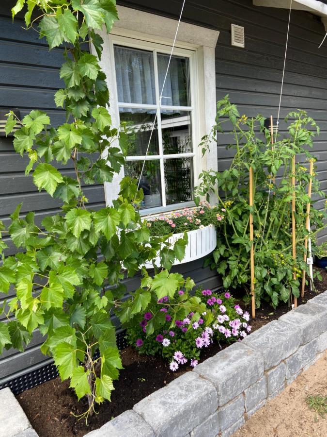 Stuga Pa Oeland Algutsrum Eksteriør bilde